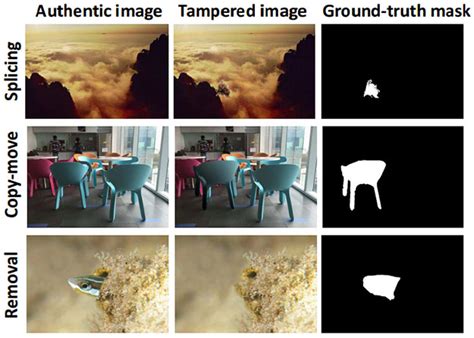 creating fake photos of scenes that are essentially altered - Photo Fakery .